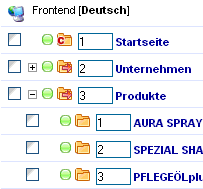 Der Content Manager