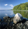 Natur Bild